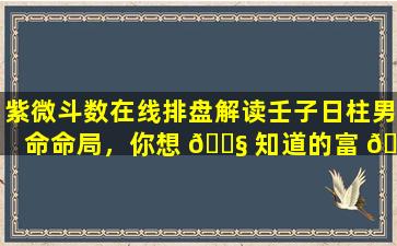 紫微斗数在线排盘解读壬子日柱男命命局，你想 🐧 知道的富 🐕 贵信息都在这里！